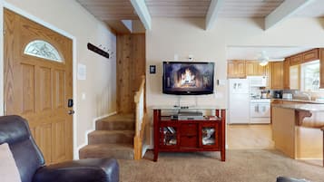 TV, fireplace, DVD player, books