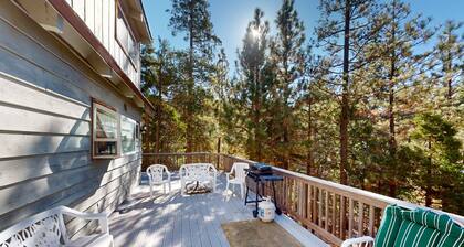 Dog-Friendly home near skiing & hiking trails with fireplace & views from deck