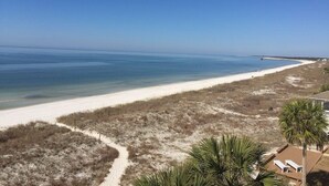 A beach with a clear sky, a sandy path, and a few palm trees. - Sweeping Vue of the Gulf of Mexico, 30 steps to beach (Mexico Beach)