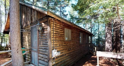 UUSI LUETTELO! Lakefront hytti w / oma laituri, puuhella ja ranta pääsy - koirat OK