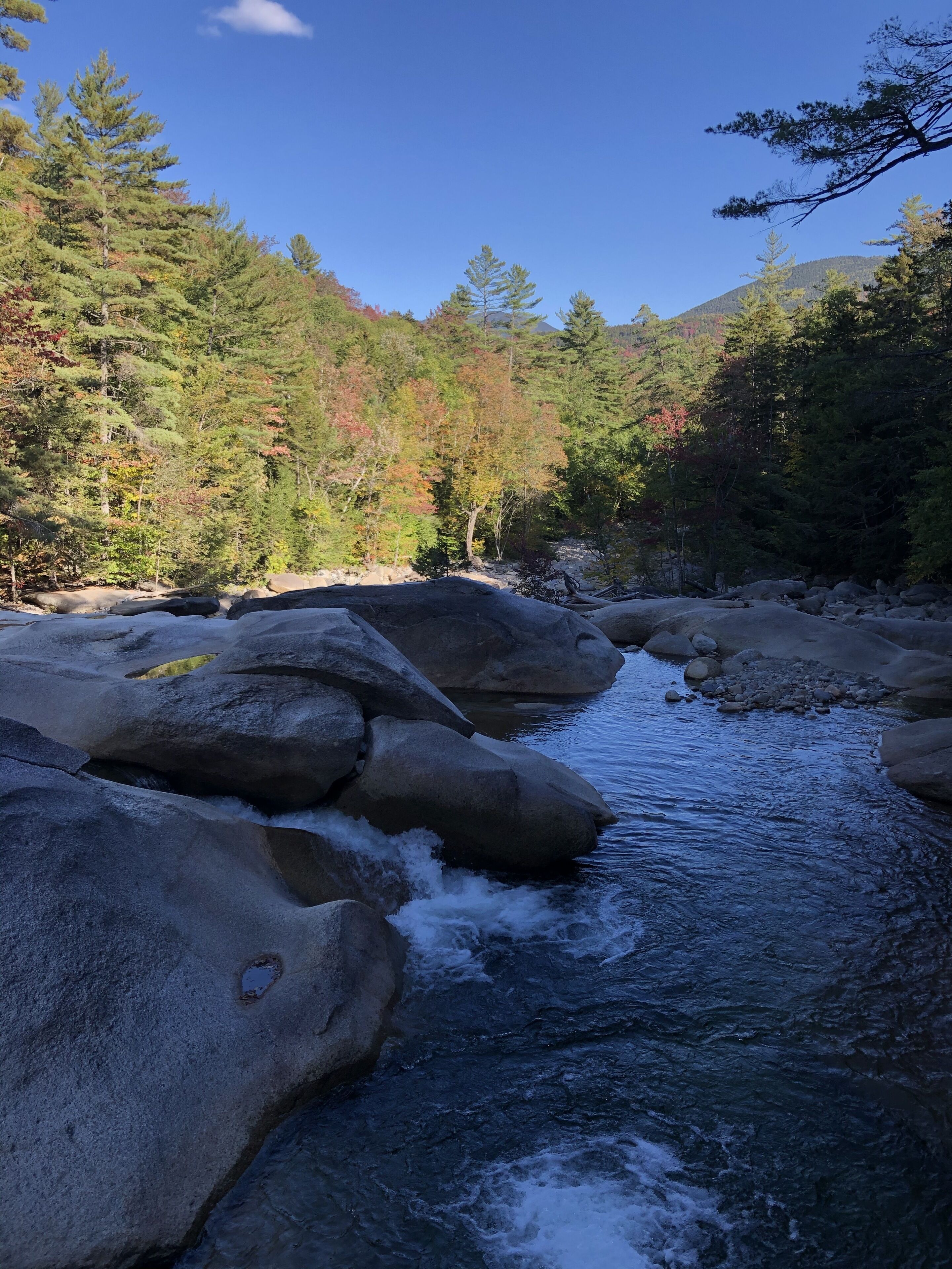 A river flowing through a forest with large rocks and trees.
