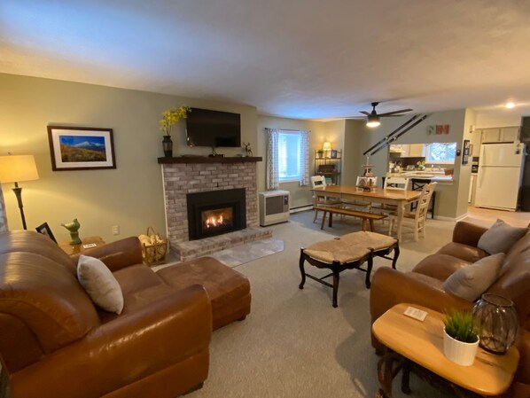 Smart TV, fireplace, books, music library