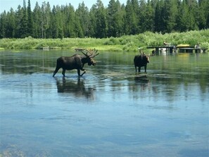 Lake