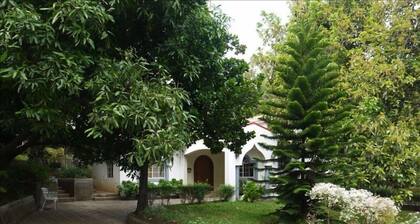Modern House in Managua Suburbs, Within a Lush Garden Setting.