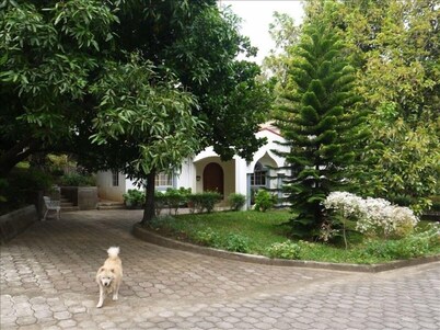 Modern House in Managua Suburbs, Within a Lush Garden Setting.