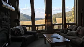 Télévision, cheminée, lecteur de DVD, livres