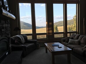 TV, fireplace, DVD player, books