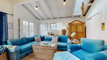 TV, fireplace, DVD player, books