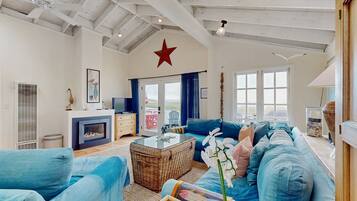 TV, fireplace, DVD player, books