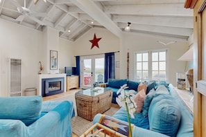 TV, fireplace, DVD player, books