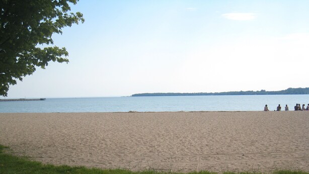 Ein Strand mit einer grünen Wiese im Vordergrund und ruhiger See.