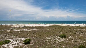 Une plage avec un ciel dégagé, une zone sablonneuse à la végétation clairsemée et une vue lointaine sur l’océan.