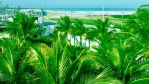 A coastal view with palm trees and a beach. - Hotel Casarao (Peruíbe)