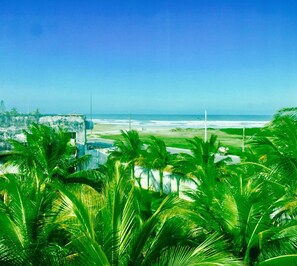 A coastal view with palm trees and a beach. - Hotel Casarao (Peruíbe)