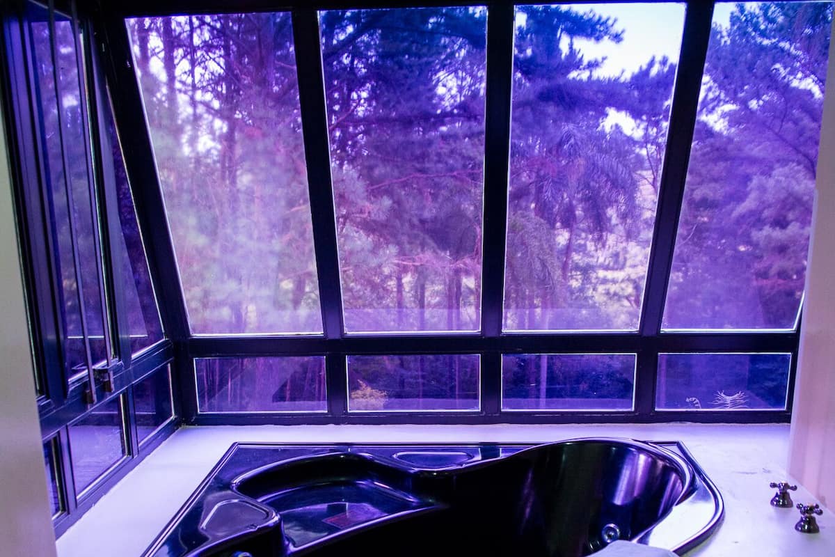 A corner bathroom with a freestanding bathtub, large windows, and a view of a forest.