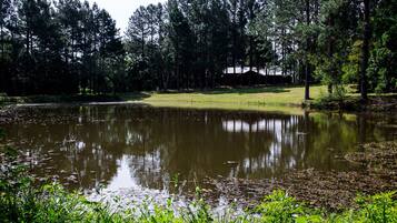 A tranquil pond surrounded by dense trees and a grassy area with a building in the background.