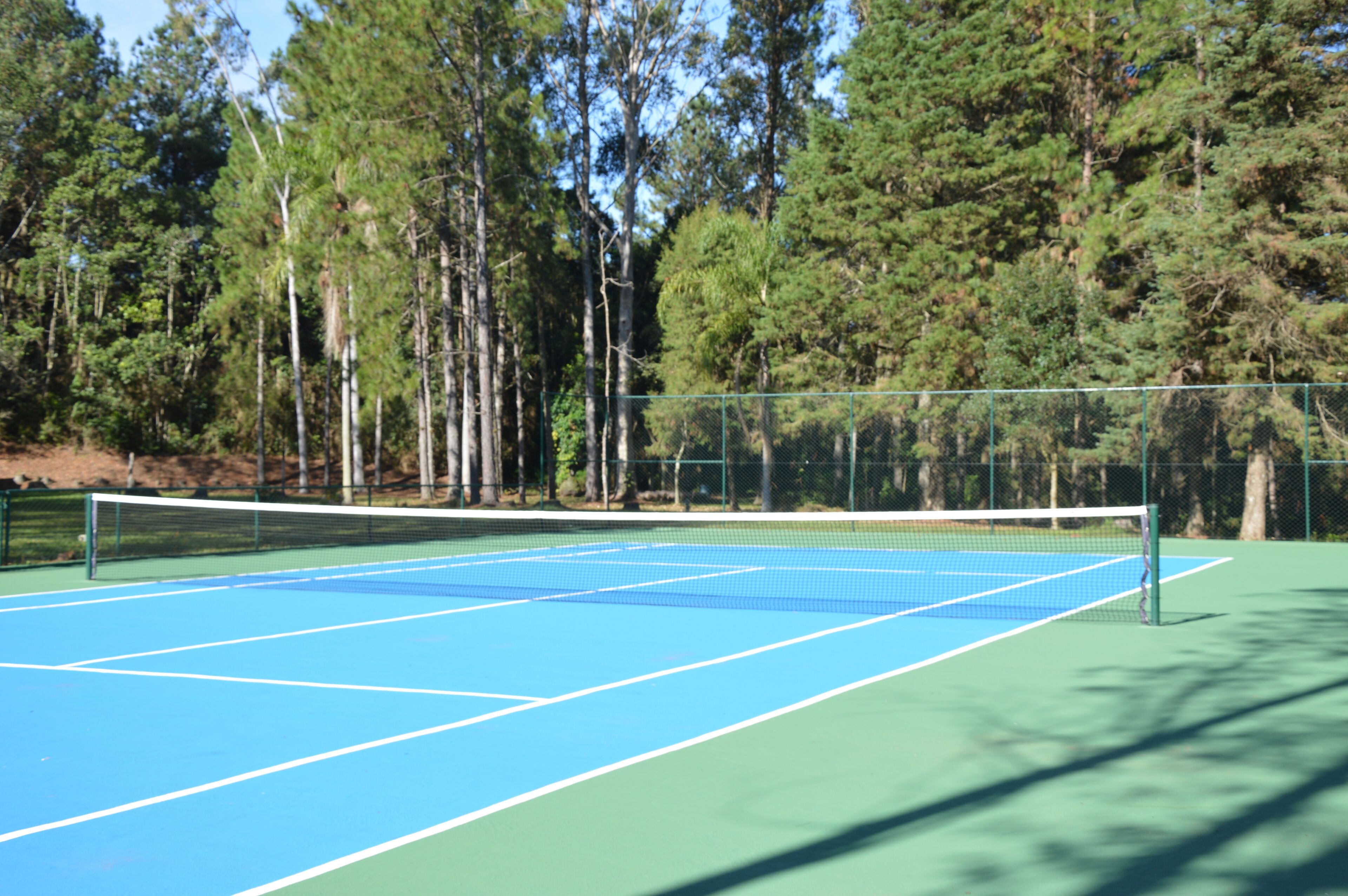 Una cancha de tenis rodeada de árboles altos.
