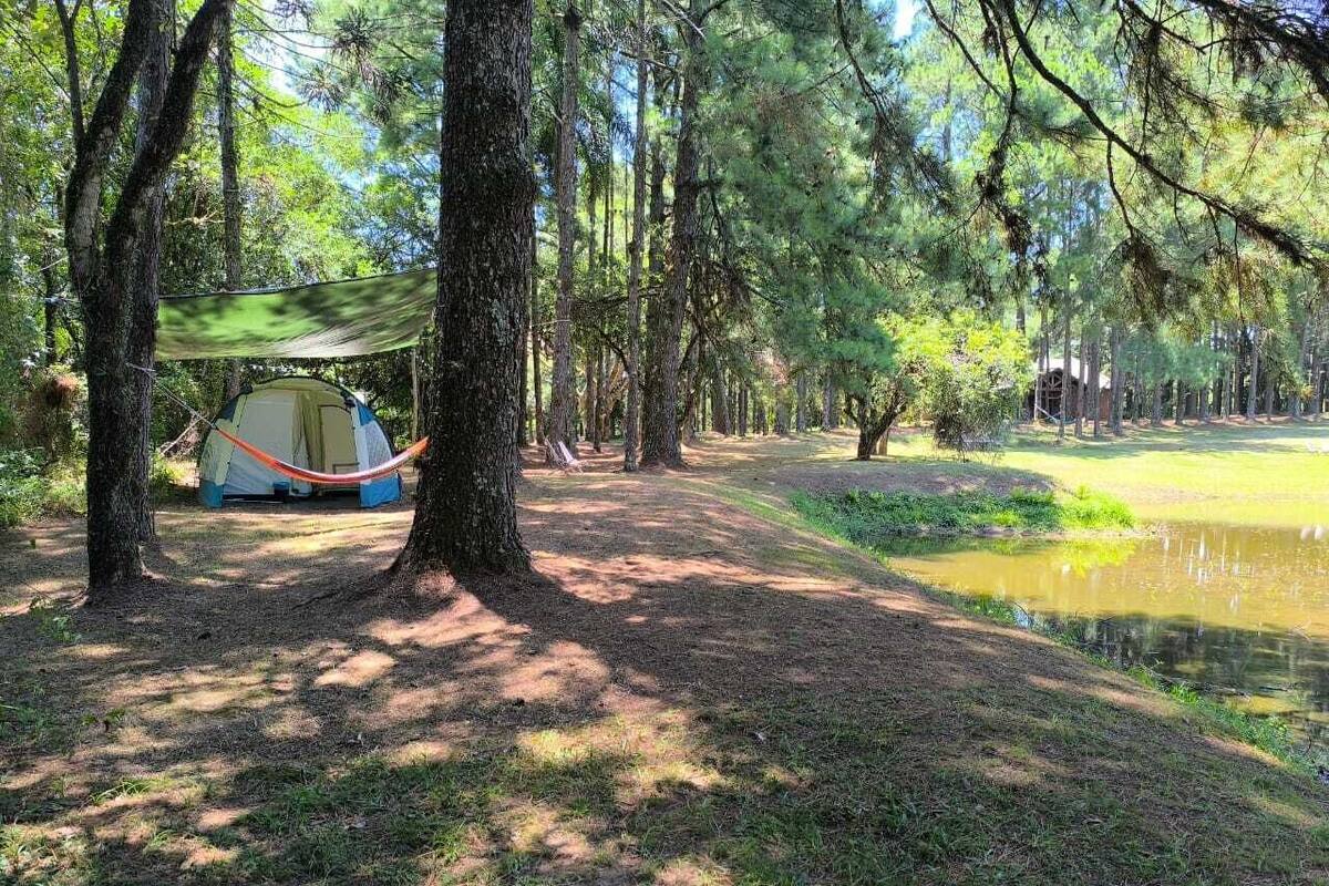 A tent set up between two trees in a forested area with a pond nearby.