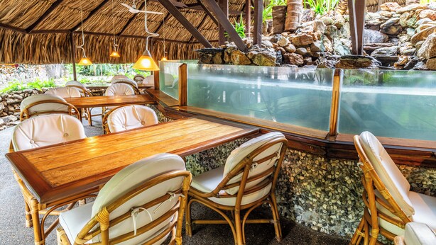 A dining area with a wooden table and wicker chairs, a thatched roof, and a view of a water feature. - Hotel Irotama Reservado (Santa Marta)