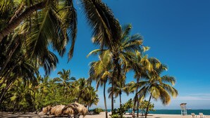 A beach with palm trees, a thatched hut, and lounge chairs. - Hotel Irotama Reservado (Santa Marta)