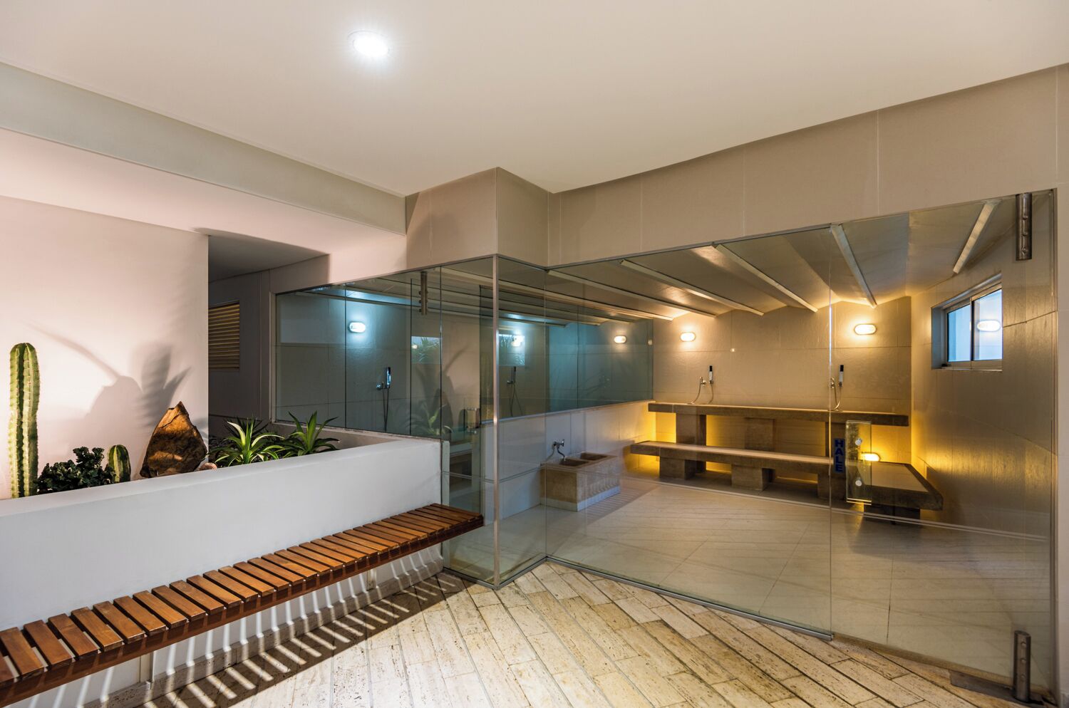 Une salle de bain moderne avec une douche à parois de verre, un banc en bois et une décoration à base de cactus.