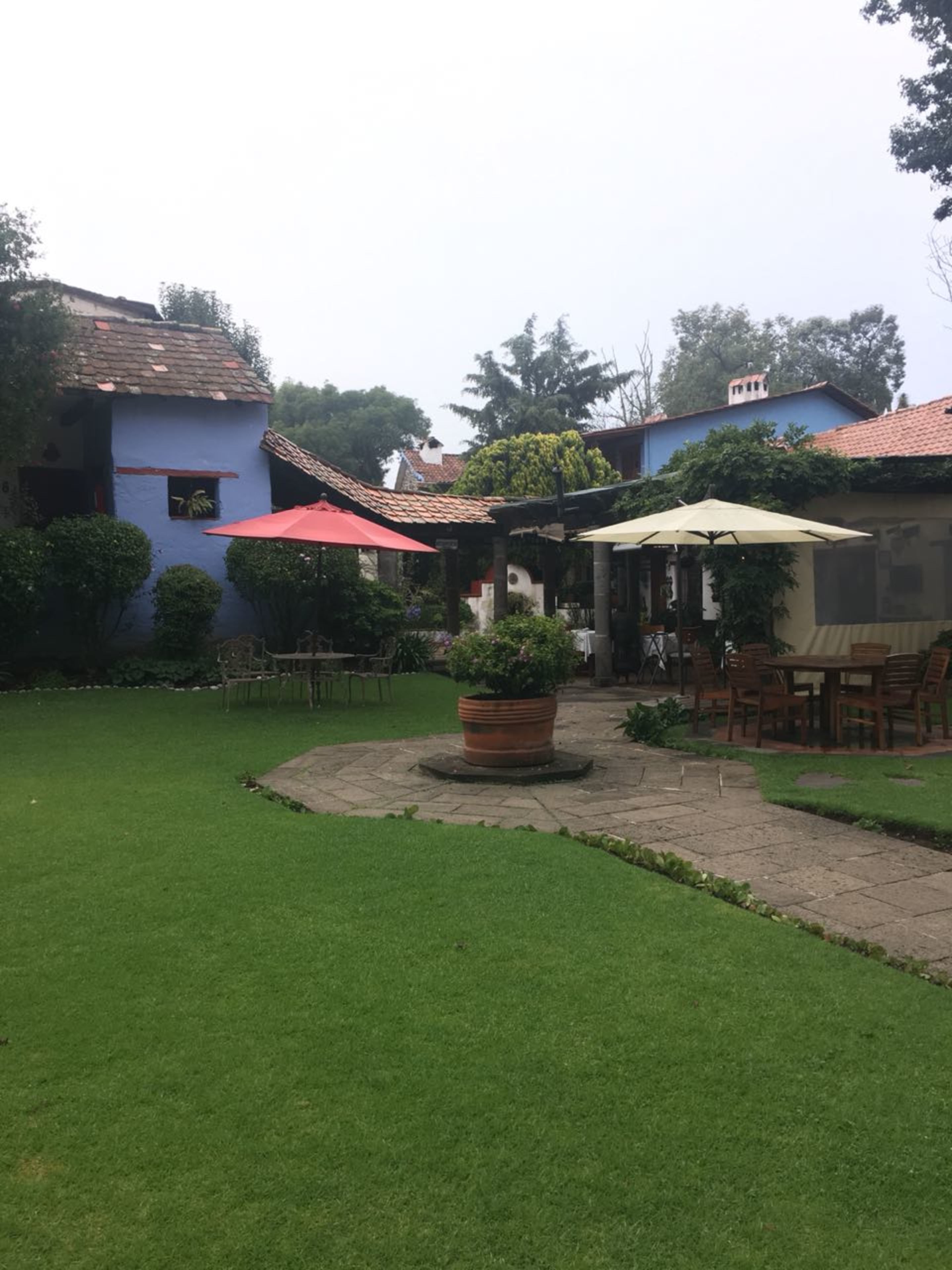 Un patio con césped, una mesa de madera con sillas y una planta en maceta.