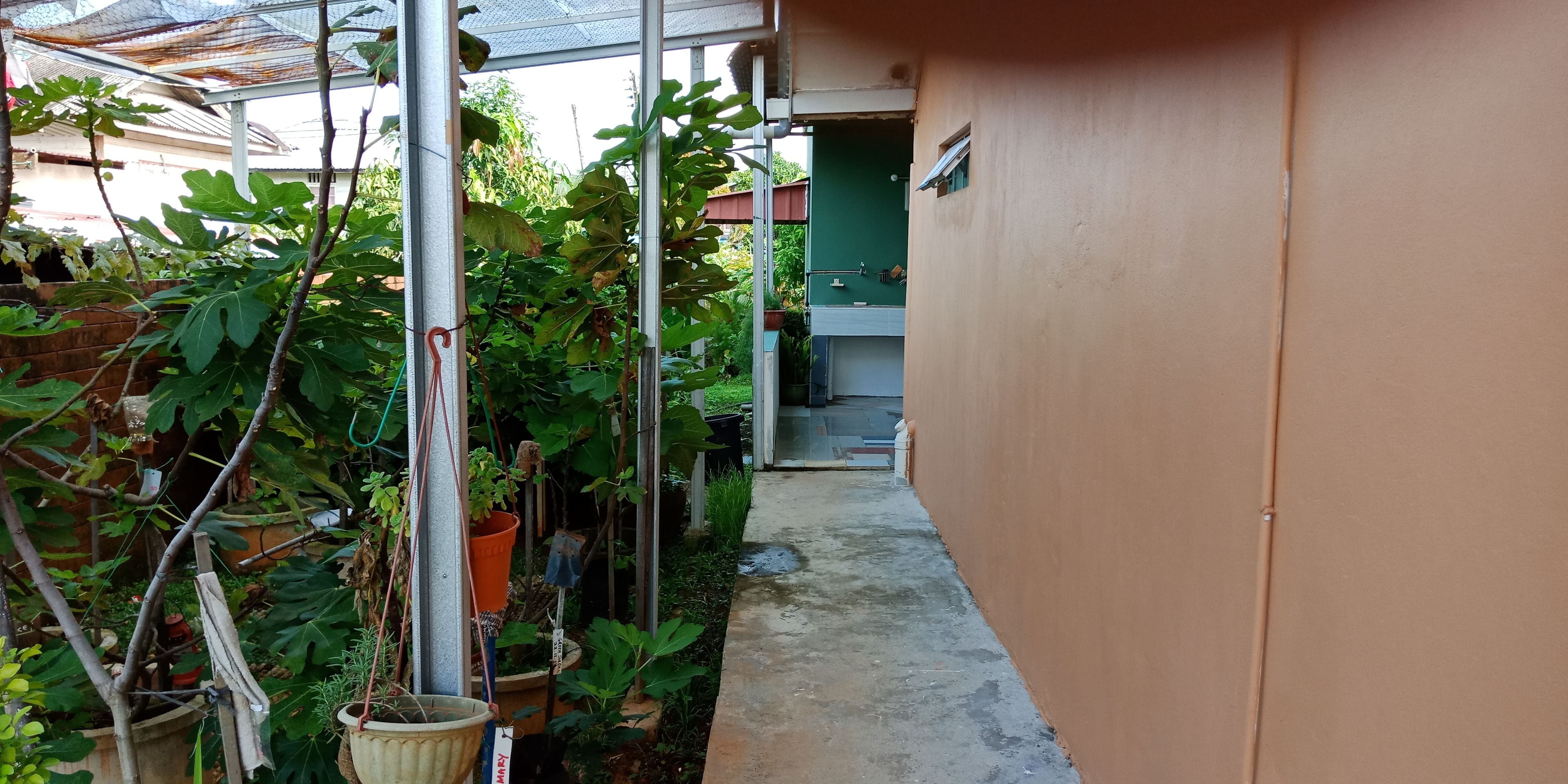 Foto - Jazepuri - Jaze 1