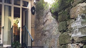 A staircase leading up to a building with stone walls, a birdcage, and a potted plant. - DuCarmo Apartments Caves Vinho do Porto (Vila Nova de Gaia)