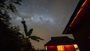 Un ciel nocturne constellé d’étoiles, un bâtiment rouge et un arbre aux larges feuilles.