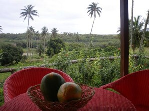 Bungalow | Valley view - Pension La Perruche Rouge (Rimatara Island)