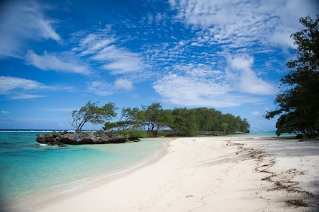 Fishing. Pension La Perruche Rouge