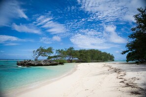 A beach with clear turquoise water, white sand, and scattered trees. - Pension La Perruche Rouge (Rimatara Island)