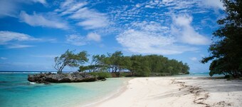 Pension La Perruche Rouge