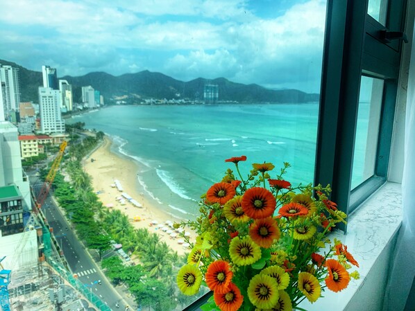 Beach/ocean view