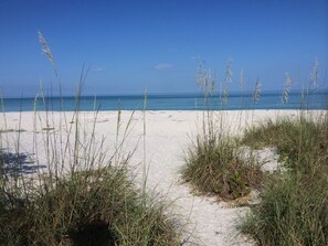 Beach nearby - Blissfully Serene Palm Cottage In Town and 2 Blocks from Beach (Boca Grande)