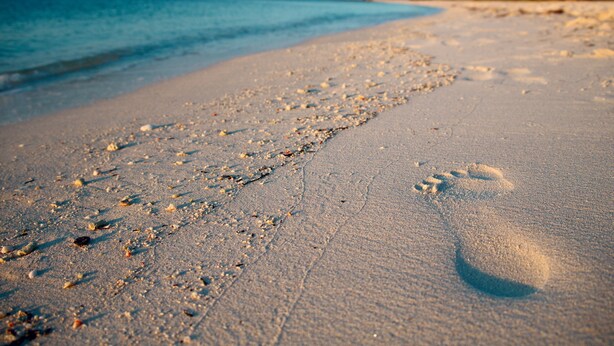 A sandy beach with footprints and small shells. - Salty Anglers: Waterfront Heated Pool, Dock & Walk to Sombrero Beach in Marathon (Marathon)