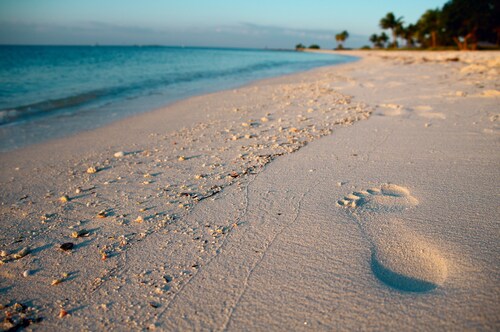 Salty Anglers: Waterfront Heated Pool, Dock & Walk to Sombrero Beach in Marathon