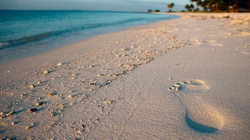 Una playa cerca, sillas reclinables de playa, toallas de playa