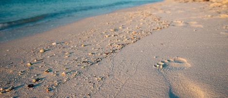 Beach nearby, sun-loungers, beach towels