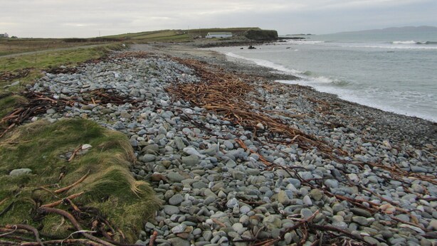 A rocky beach with waves, grass, and a distant view of land. - Atlantic Apartment. Wonderful views of the Wild Atlantic Ocean and mountains (Renvyle)