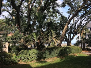 Stroll through a serene garden oasis surrounded by lush greenery and vibrant flowers.