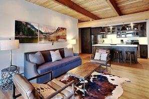 TV, fireplace, DVD player, video library