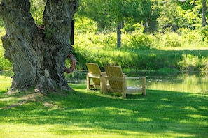 A tree with a lifebuoy attached, two wooden chairs, and a pond in a park.