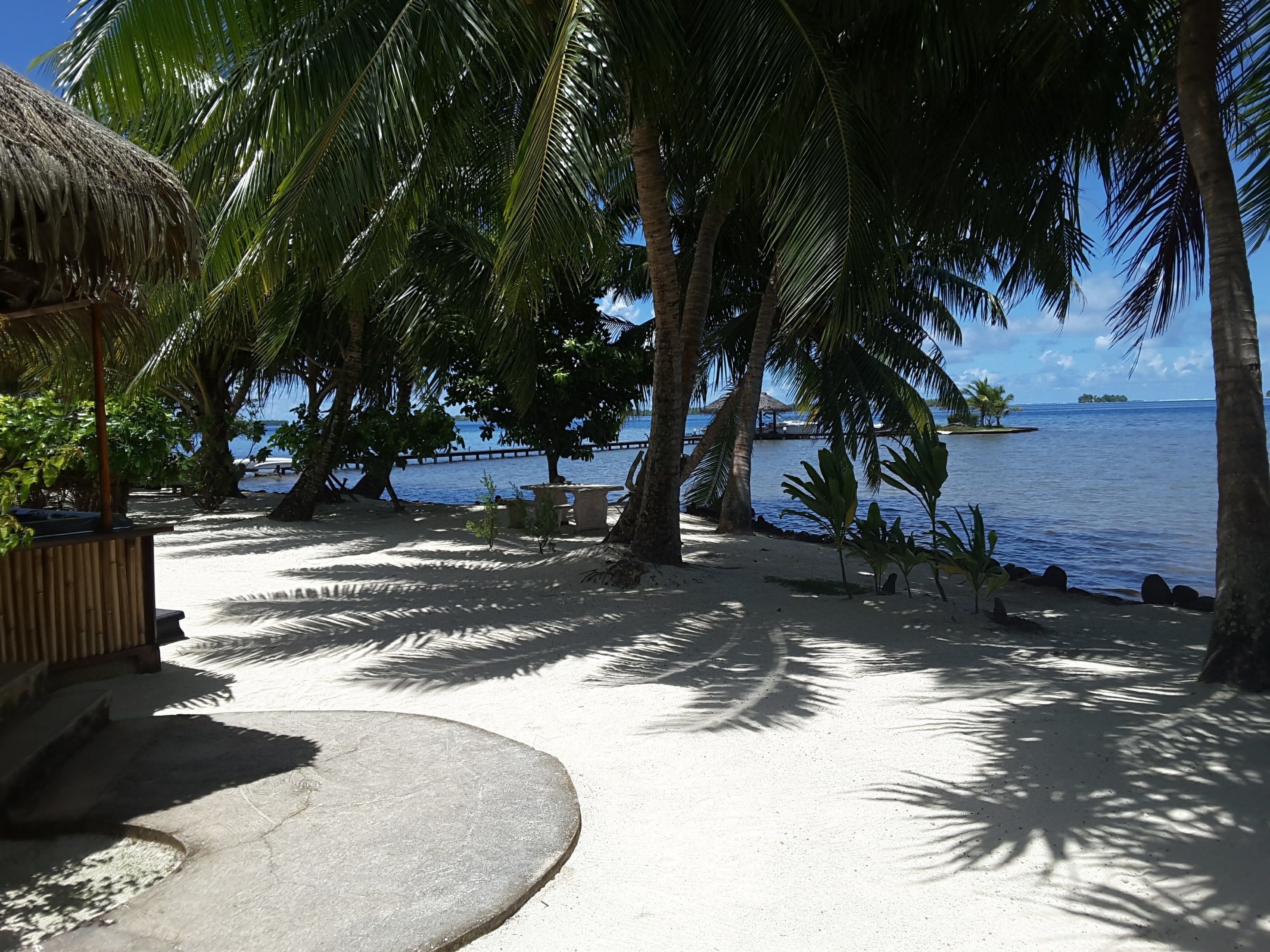 A beach with palm trees, a thatched-roof structure, and a view of the ocean.
