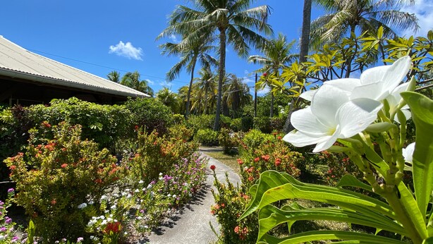 Un sendero bordeado de diversas plantas tropicales y una flor blanca destacada al frente.