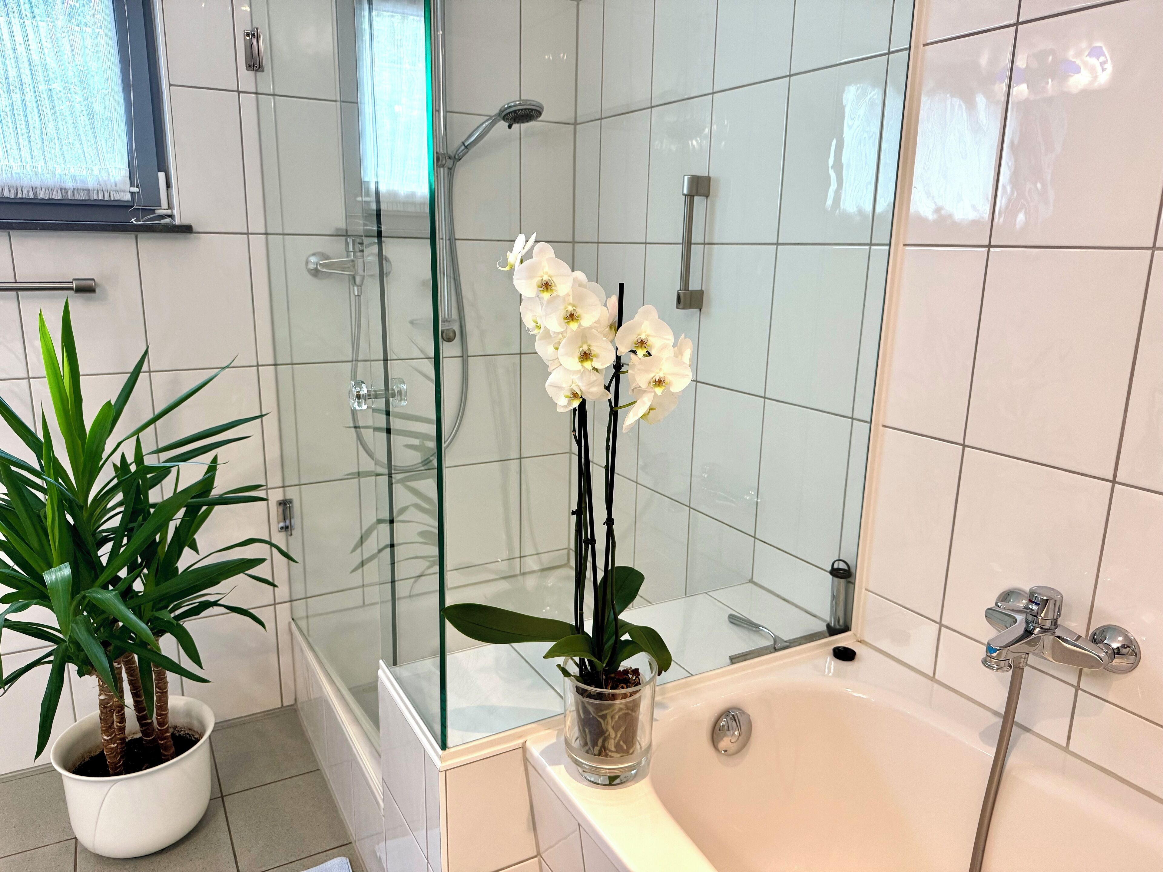Bathtub, hair dryer, towels