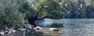 A serene riverside scene with a large tree overhanging the water, surrounded by rocks and dense foliage.