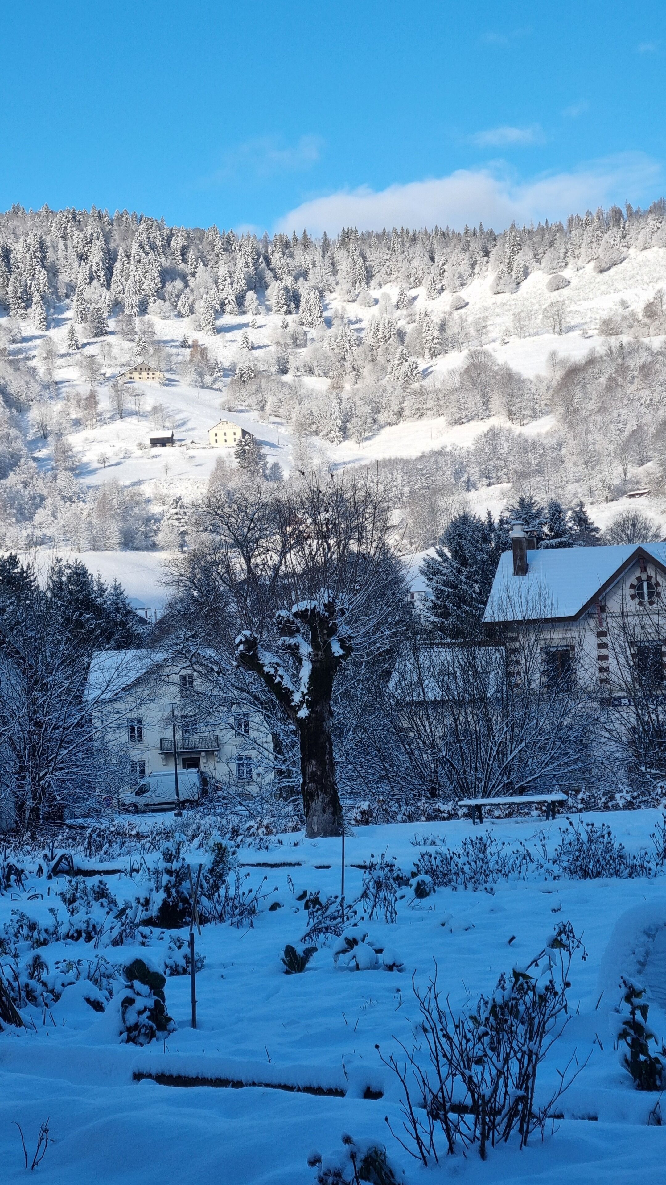 A snow-covered landscape with buildings and trees.