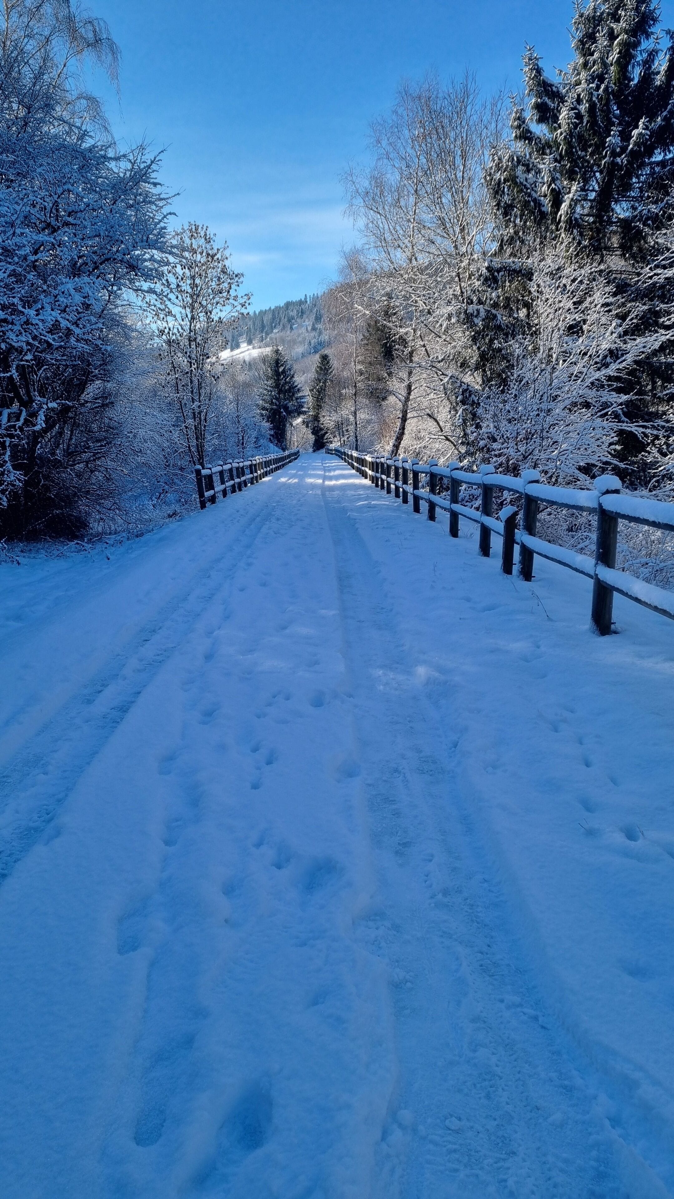 Un sentiero innevato con una recinzione di legno da un lato e alberi dall'altro.