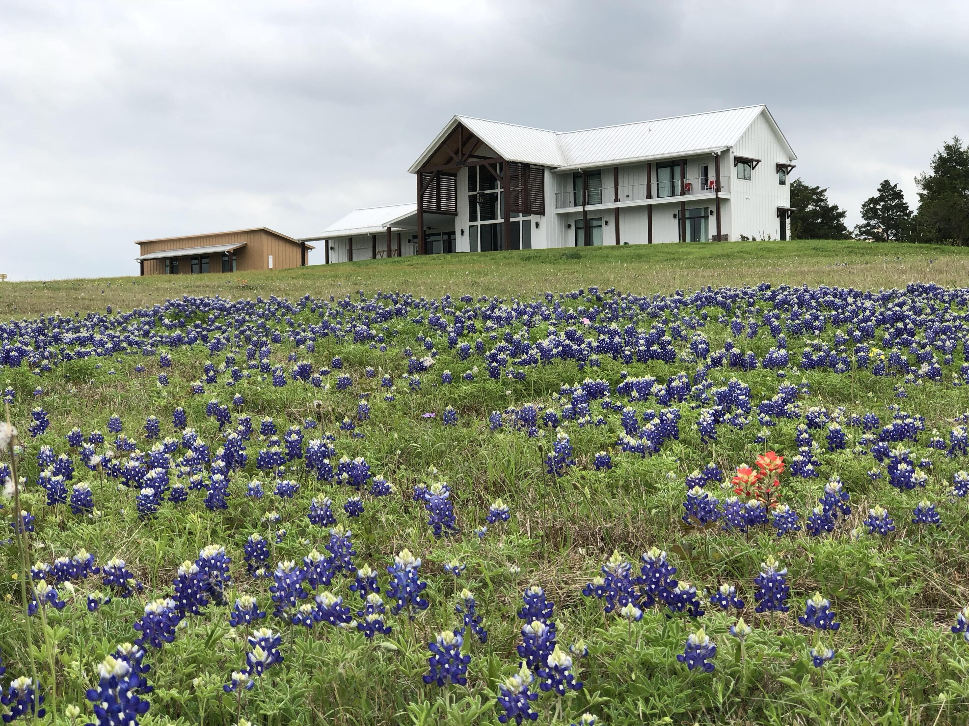 Red Berry Hollow for a Wedding Party, Aggie Event,  Round Top or Family Retreat!